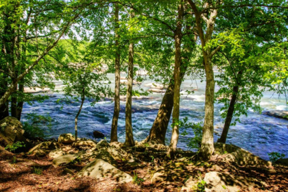 Picture of SPRING ON THE RIVER I