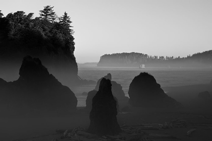 Picture of RUBY BEACH MORNING III BW