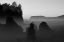 Picture of RUBY BEACH MORNING III BW