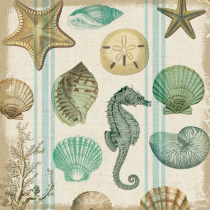 Picture of BEACHCOMBER 2