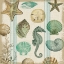 Picture of BEACHCOMBER 2