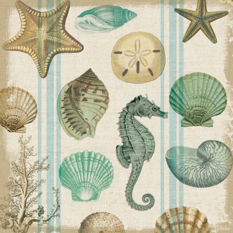 Picture of BEACHCOMBER 2