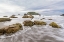 Picture of HARRIS BEACH I