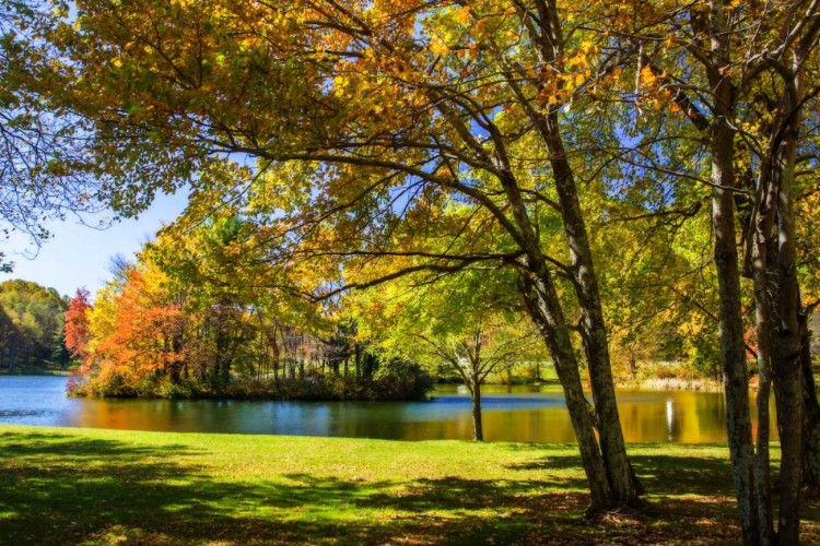 Picture of PEAKS OF OTTER LAKE II