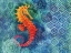 Picture of SEAHORSE BATIK
