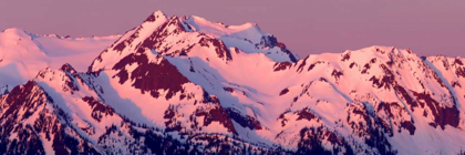 Picture of ALPENGLOW ON OLYMPIC MOUNTAINS