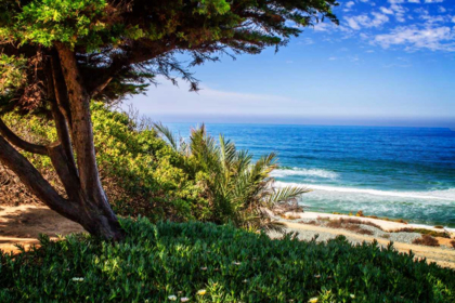 Picture of DEL MAR BEACH I