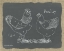 Picture of POULTRY ON BURLAP