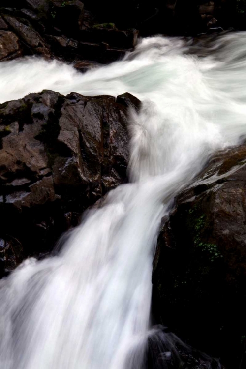 Picture of SOL DUC FALLS II