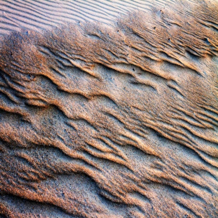 Picture of WIND SAND AND WATER I