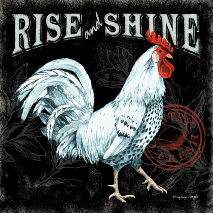 Picture of RISE AND SHINE II