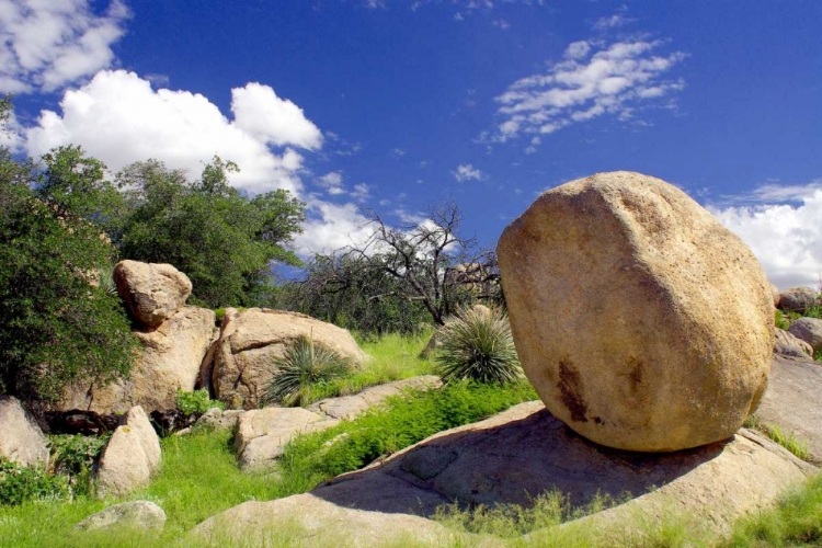 Picture of TEXAS CANYON ROCKS I