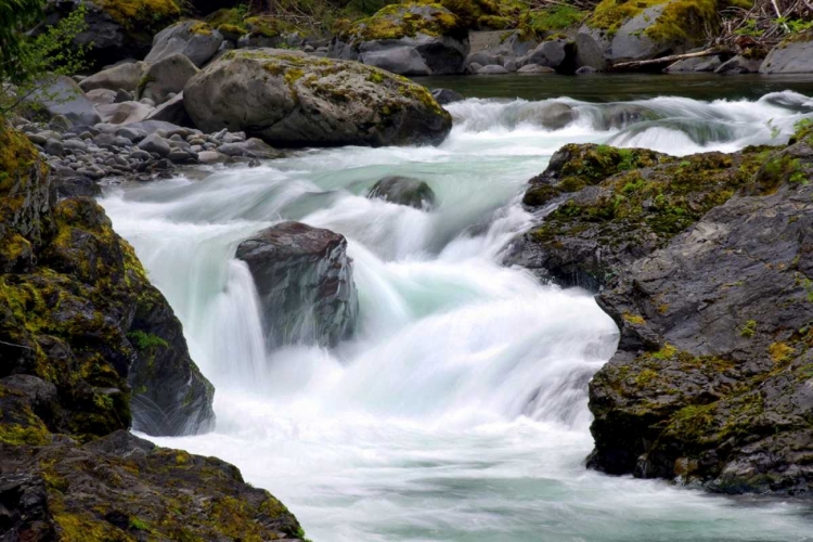 Picture of SALMON CASCADES