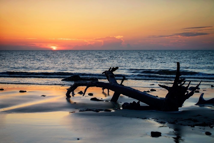 Picture of JEKYLL ISLAND SUNRISE I