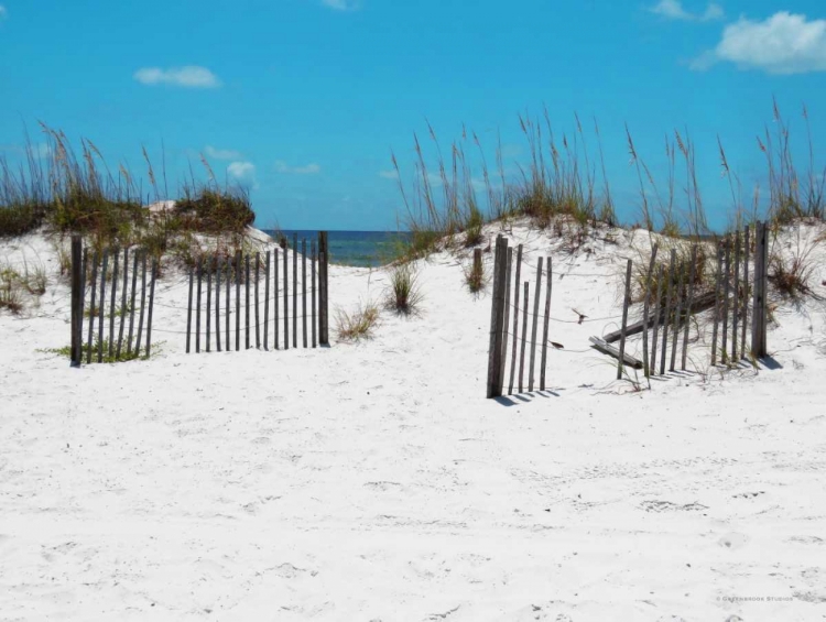 Picture of SAND DUNES III