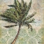 Picture of DELRAY PALM I