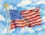 Picture of STARS AND STRIPES FOREVER