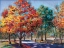 Picture of FALL BRILLIANCE I