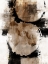 Picture of PAINTED DISTRESSED 1