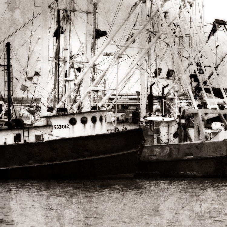 Picture of CAPE MAY FLEET I