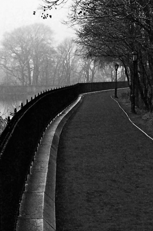 Picture of CENTRAL PARK ENDLESS PATH