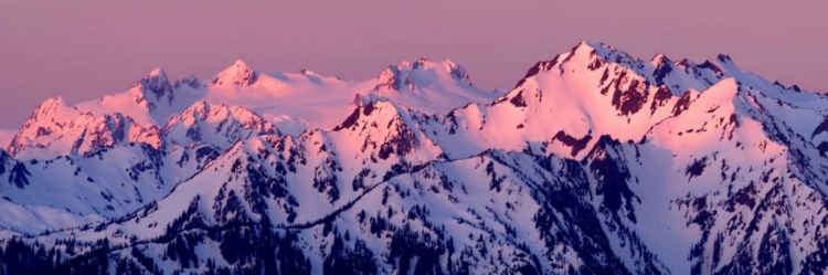 Picture of ALPENGLOW ON MT. OLYMPUS