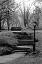 Picture of CENTRAL PARK STAIRS TO NOWHERE