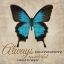 Picture of ALWAYS BELIEVE