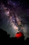 Picture of MILKY WAY V
