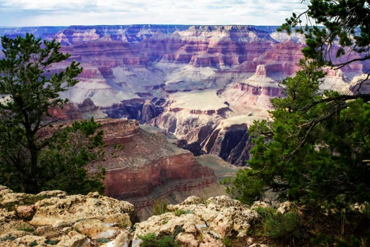 Picture of CANYON SHADOWS III