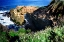 Picture of GOLDFISH POINT I