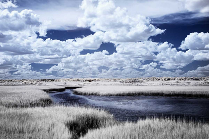 Picture of RIVER IN THE MARSH I