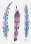 Picture of OCTOBER FEATHERS I