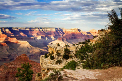 Picture of CANYON SHADOWS II