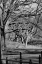 Picture of CENTRAL PARK IMAGE 1745