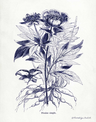 Picture of INDIGO BOTANICAL III