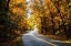 Picture of WALNUT GROVE ROAD II