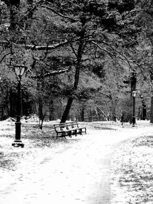 Picture of CENTRAL PARK SNOWY SCENE 2