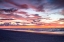 Picture of GULLS ON THE SHORE I