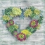 Picture of SUCCULENT WREATH
