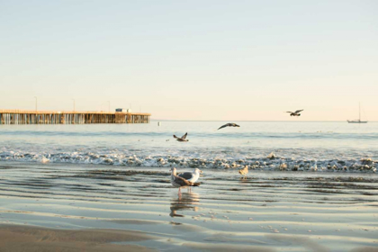 Picture of OCEAN PIER