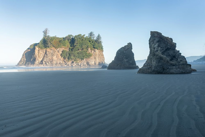 Picture of RUBY BEACH MORNING II