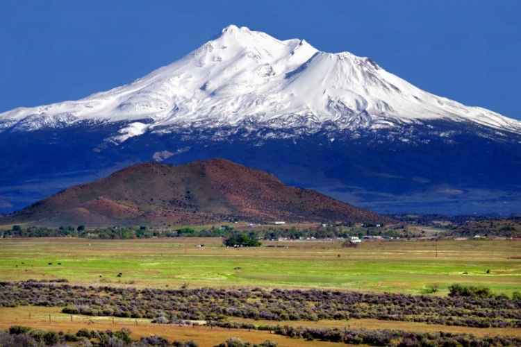 Picture of SHASTA COUNTY SPRING