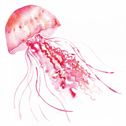 Picture of PINK JELLYFISH