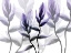 Picture of LAVENDER HEAVEN 1