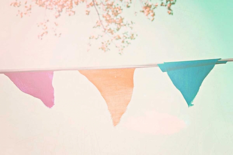 Picture of VINTAGE BUNTING HOT.