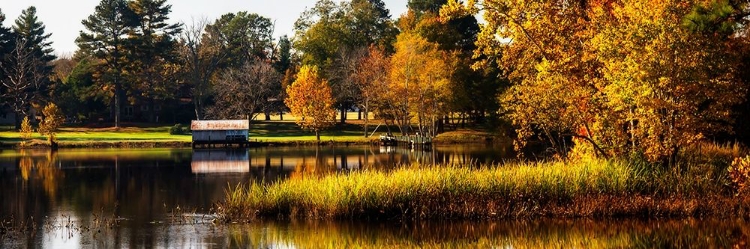 Picture of AUTUMN ON THE MATTAPONI