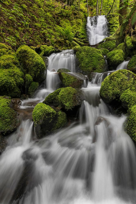 Picture of WATERFALL I