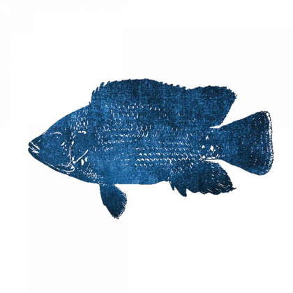 Picture of NAVY FISH