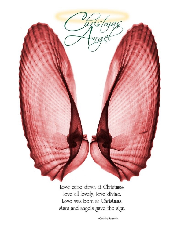 Picture of CHRISTMAS WINGS 1